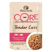 48x Wellness Core Kattenvoer Tender Cuts Zalm - Tonijn 85 gr