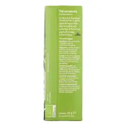 Piramide Thee Groene Thee Sencha 20ZK