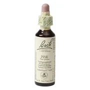 Bach Flower Remedies Den 24 20ML