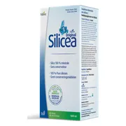 Hubner Original Silicea 500ML