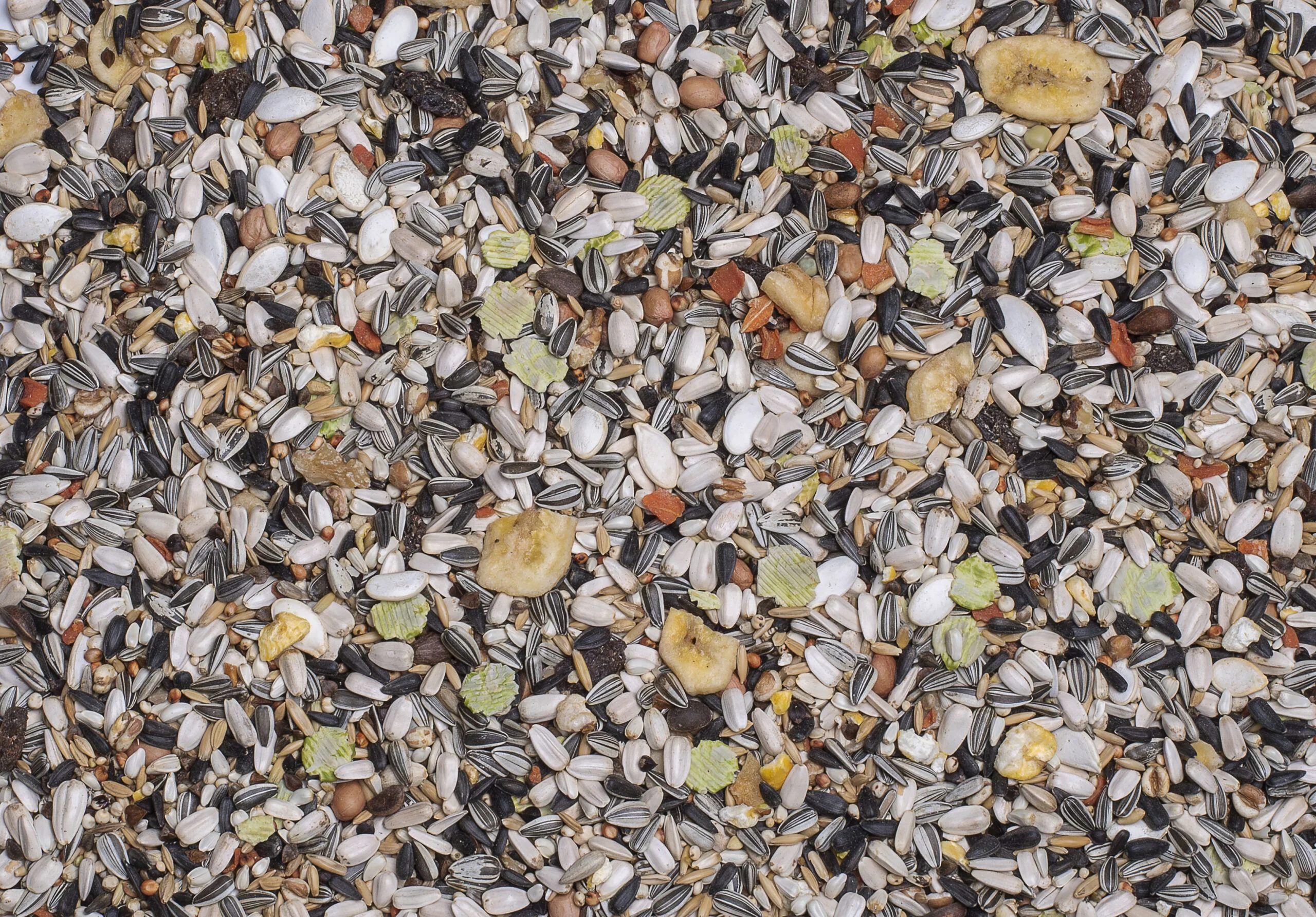 Deli Nature Papegaai Caatinga 15 kg
