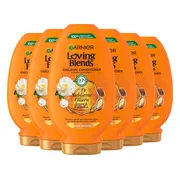 6x Garnier Loving Blends Argan- en Cameliaolie Conditioner 250 ml