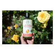 Petal Fresh Conditioner Softening Rose & Honeysuckle 475ML