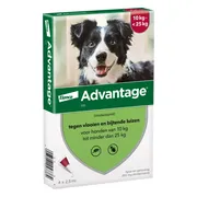 Advantage Anti Vlooiendruppels 250 Hond 10 - 25 kg 4 pipetten