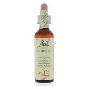 Bach Flower Remedies Maskerbloem 20ml