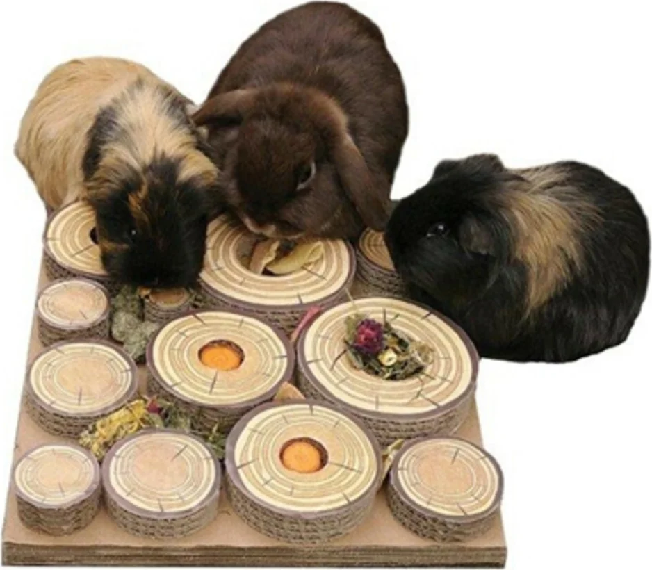 Rosewood Maze A Log Treat Challenge 30 cm