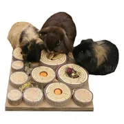 Rosewood Maze A Log Treat Challenge 30 cm