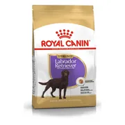 Royal Canin Hondenvoer Droog Labrador Retriever Sterilised 3 kg