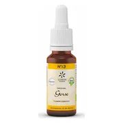 Lemon Pharma Bach NO.13 Gorse 20ML