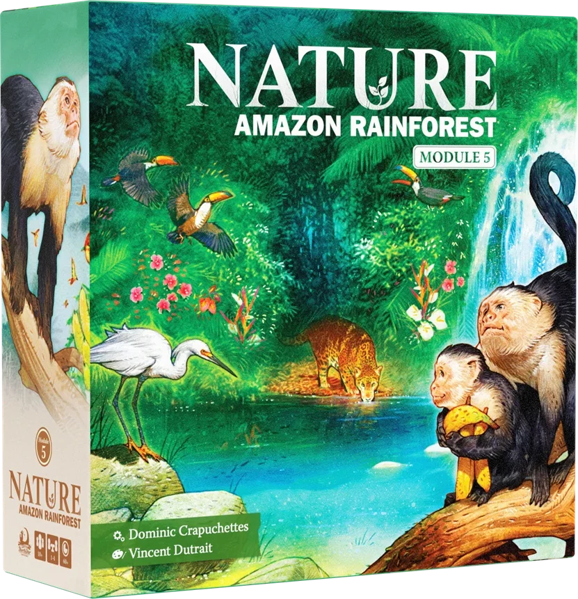Nature Amazon Rainforest Expansion