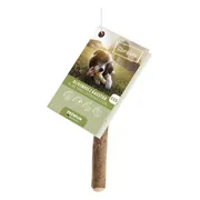 Chewies Olijfhout Hondensnack XXS