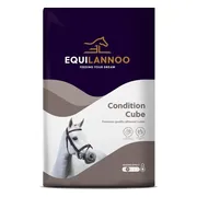 Equilannoo Condition Cube 20 kg