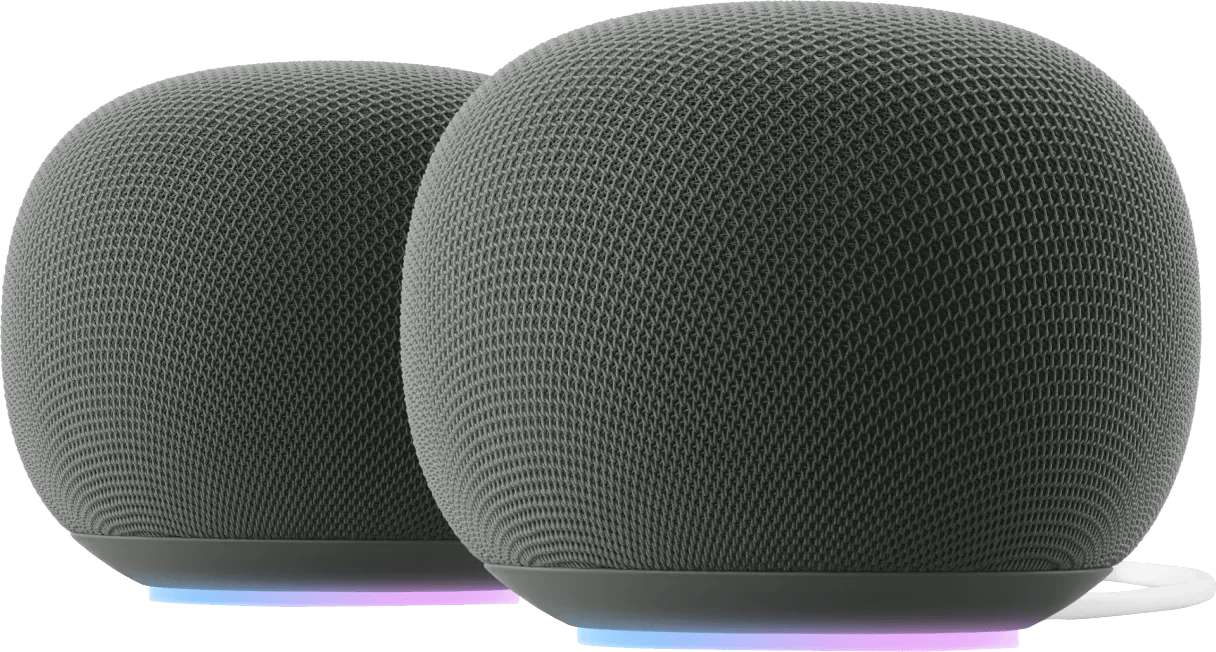 Google Home Speaker Grijs Duo Pack
