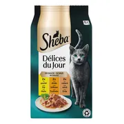 Sheba Délices Du Jour Kattenvoer Nat Selectie Maaltijdzakjes Multipack Vis in Gelei 6x50 gr