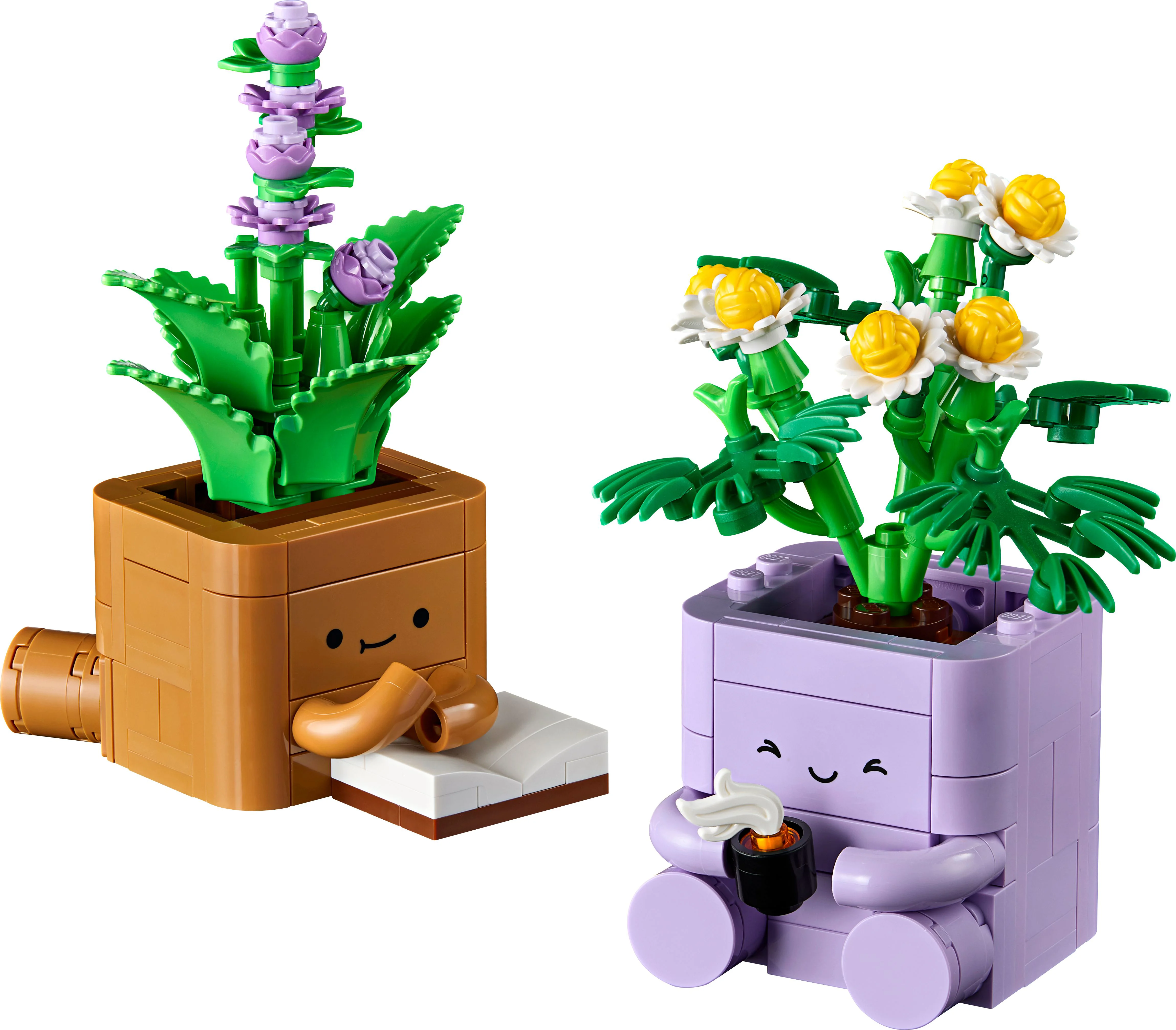 LEGO Botanicals Gezellige Plantjes Bouwpakket voor Kinderen en Kinderkamer-Decoratie 10371