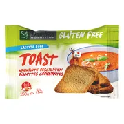 Damhert Gluten Free Lactose Free Toast 150GR