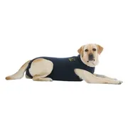 Medical Pet Shirt Hond - Blauw M plus