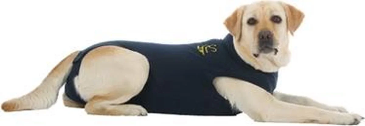 Medical Pet Kleding Shirt Hond Blauw L