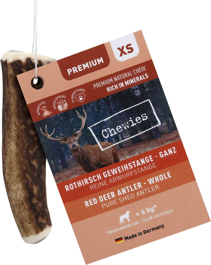 Chewies Edelherten Gewei Stang XS 50 gr