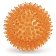 WK Egelbal Oranje M