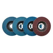 PARKSIDE Haakse slijper accessoires (Lamellenschijvenset)