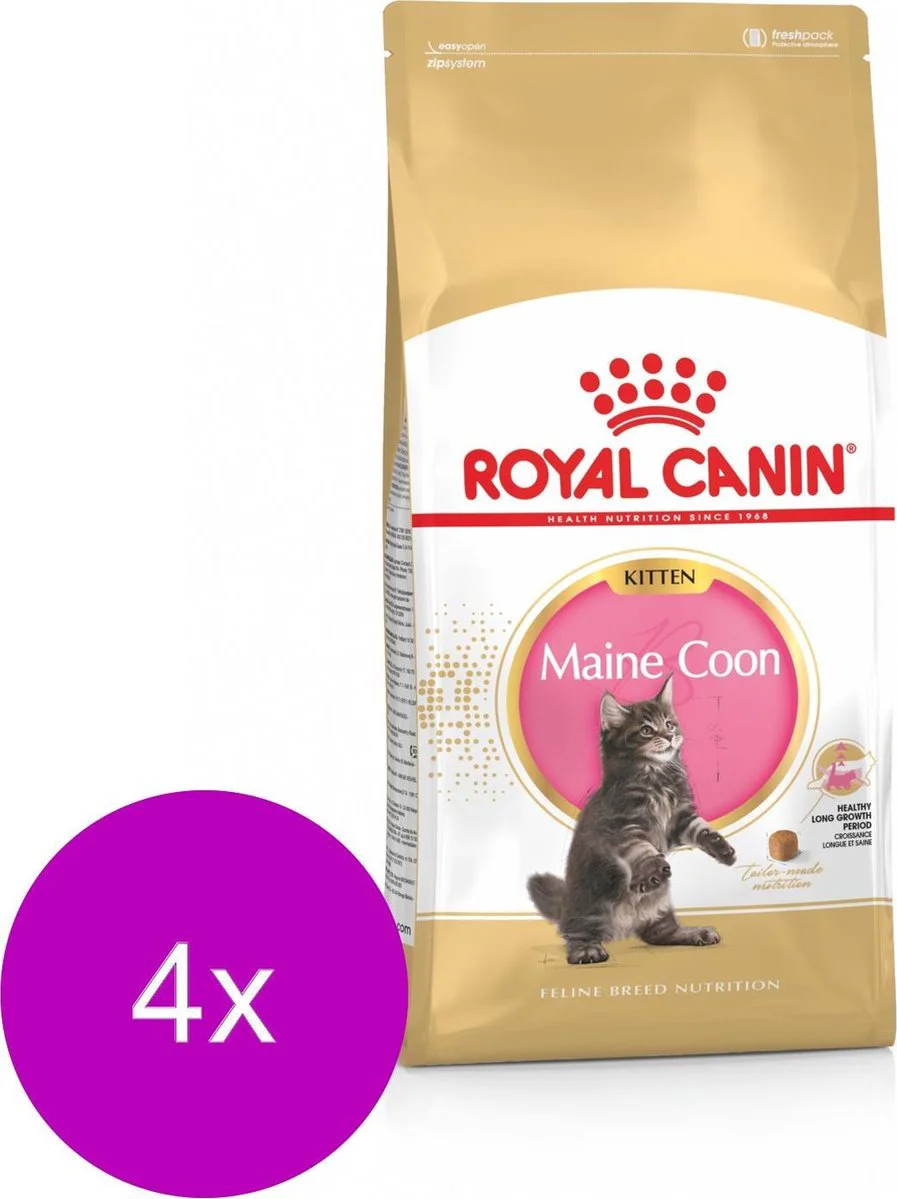4x Royal Canin Kattenvoer Maine Coon Kitten 4 kg