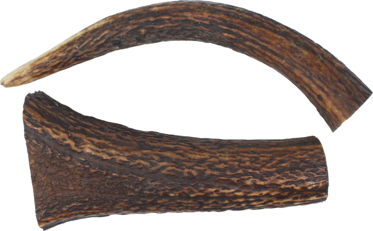 Hertengewei – Maat XXL (360–400 g) – 100% Natuurlijk Kauwbot voor Honden