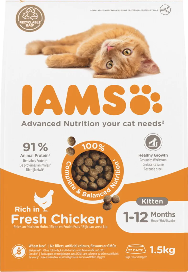 IAMS Kat Kitten/Junior Kip 1,5 kg