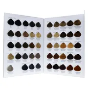 Toujours Trend Color 6.1 Dark Ash Blonde 100ML
