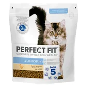 4x Perfect Fit Droogvoer Junior Kip 750 gr