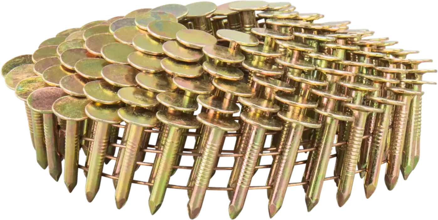 Makita F-30762 Asfaltnagel 3,1 x 22 mm