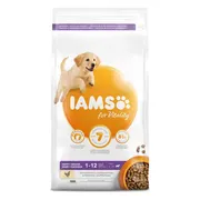 3x IAMS Dog Puppy - Junior Large Kip 3 kg