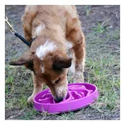 Outward Hound Dog Fun Feeder Flower Medium Paars 22 x 22 x 5 cm
