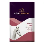 Equilannoo Active Cube 20 kg