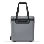 Dometic Recon Small 16L Silt