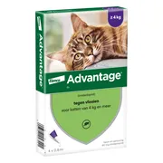 2x Advantage Anti Vlooiendruppels 80 Kat vanaf 4 kg 4 pipetten