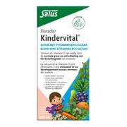 Salus Floradix Kindervital 500ML