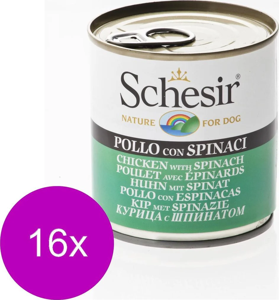 16x Schesir Hondenvoer Kip Spinazie in Gelei 285 gr