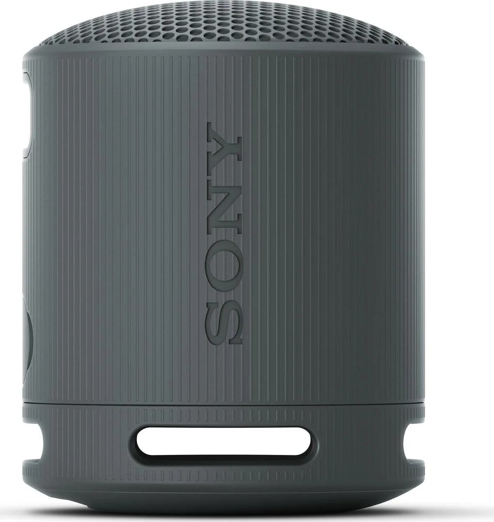 Sony SRS-XB100 Zwart