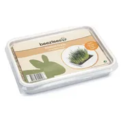 Beeztees Knaagdiergras In Plastic Box 130 gr