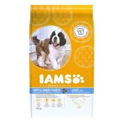 IAMS Dog Puppy - Junior Large Kip 3 kg