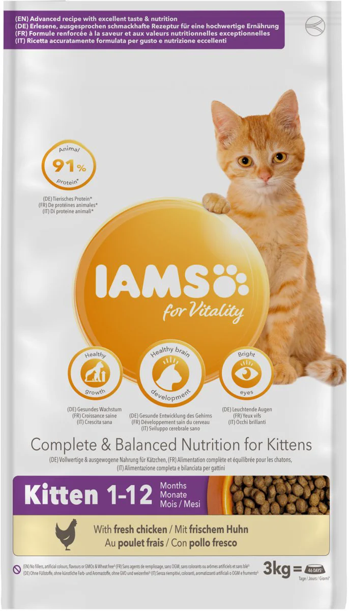IAMS Kat Kitten/Junior Kip 3 kg