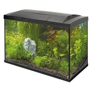 Superfish start 70 tropical kit - 58 x 28 x 45 cm - 70 L - Zwart