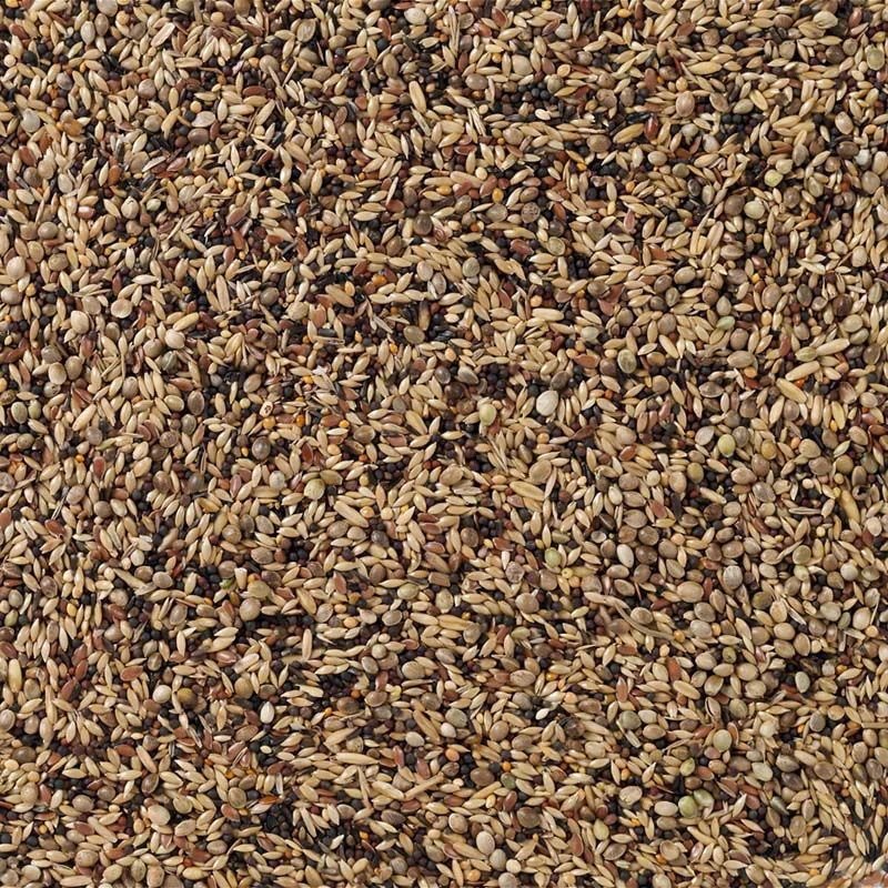 Deli Nature Europese Vogels Nummer 91 20 kg