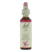 Bach Flower Remedies Zomereik 22 20ML