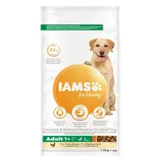 IAMS Dog Adult Large Kip 12 kg