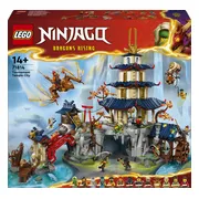 LEGO NINJAGO Toernooi tempelstad 71814