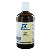 GO Gemmo Oplossingen Ficus Carica Bio Tinctuur 100ML