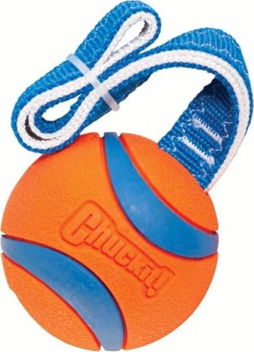 Chuckit Ultra Tug Large ø 7 cm