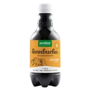 Purasana Kombucha Fresh Sparkling Fermented Tea Curcuma Flavour 330ML